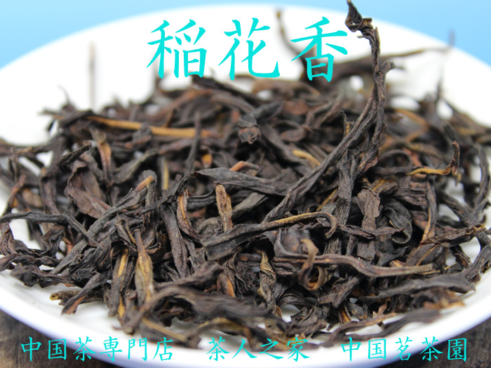 中国茗茶園